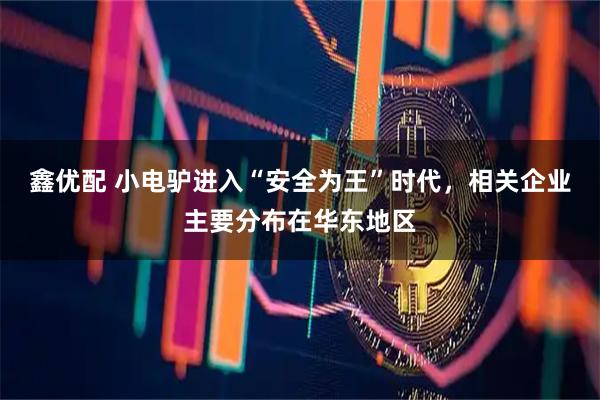 鑫优配 小电驴进入“安全为王”时代，相关企业主要分布在华东地区