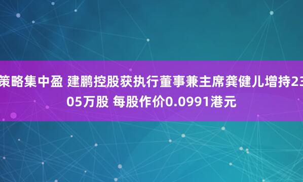 策略集中盈 建鹏控股获执行董事兼主席龚健儿增持2305万股 每股作价0.0991港元
